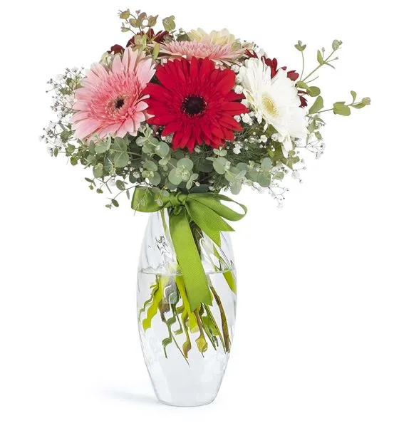 Renk Cümbüşü Gerbera Mevsim Çiçekleri