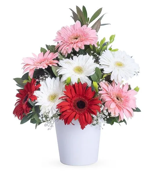 Sıcak Düşler Yaz Renkleri Gerbera Aranjmanı